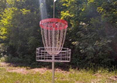 Disc Golf basket